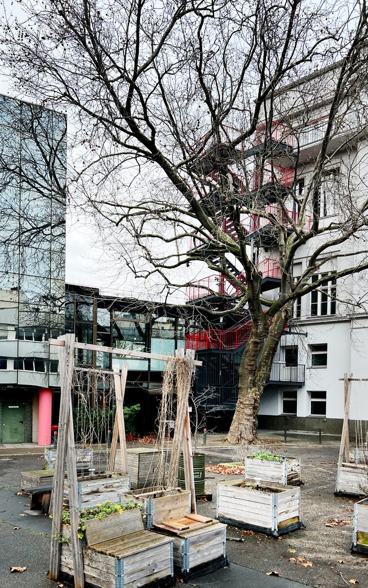 Unser Innenhof ist jetzt im Winter etwas verwaist, aber wir freuen uns schon auf den Frühling, wenn unser Urban Gardening Projekt hoffentlich wieder durchstarten kann. 

Wer war schon bei einem der Workshops dabei?