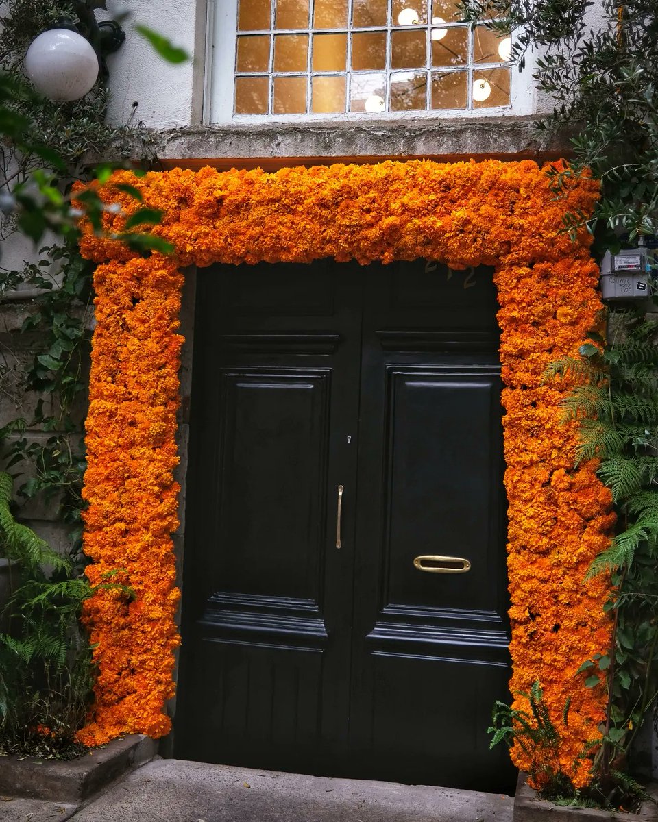 #travelphotography #doors #romanorte #mexicocity #fujifilmx100v #diadelosmuertos #dayofthedead #november2023 #flowers