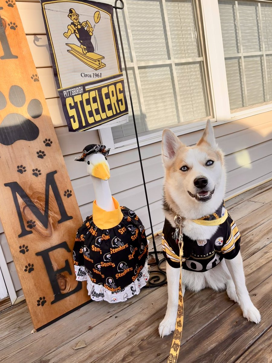 BaxendellKayla's tweet photo. We love the @steelers in this house 💛🖤 #SteelerNation #Steelers #Pittsburgh #PGH https://t.co/vOTMqqCWMt