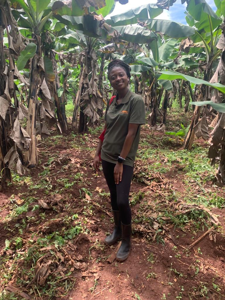 Securing the future!!!!!

Starts with food security. 
Let's plan our role farmers. 

A healthy meal = a healthy mind and body. 
#agriculture #agribusiness #foodsecurity #sustainableagriculture