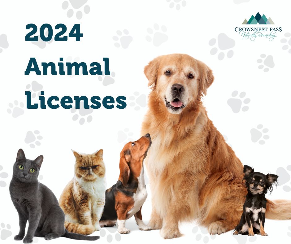 Municipality of CNP tweet media