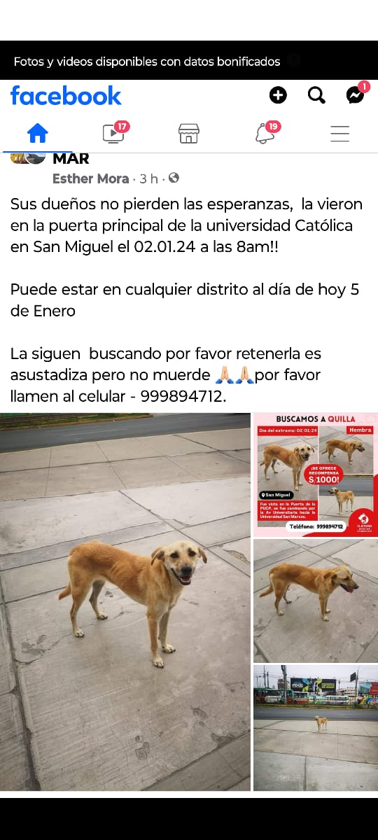 Visto en Facebook 
San Miguel