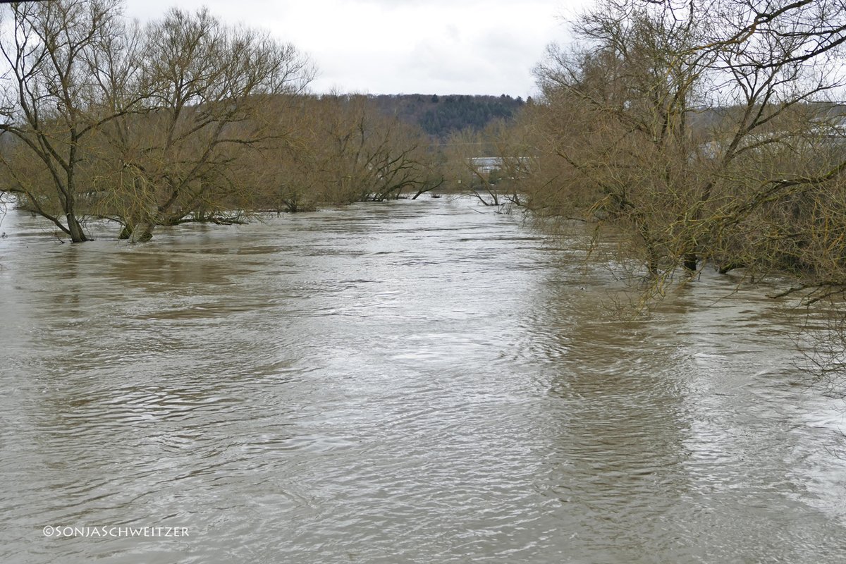HessenSonja5767's tweet photo. Hochwasser zwischen Solms/Oberbiel und Albshausen.................. #Lahn #Lahntal #Lahnaue #Solms #Oberbiel #Albshausen #Hochwasser #Schleuse #Kanal #Schleusenkanal #B49 #LDK #LahnDillKreis #Mittelhessen #Hessen #Germany https://t.co/gwdalREgjF