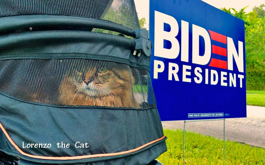 LorenzoTheCat's tweet photo. I supported him in 2020 and I'm going to support him in 2024. Because I want to live in a democracy, not a dictatorship.   #GreatSpeech  #BidenHarris2024 https://t.co/rjsobsZCqZ