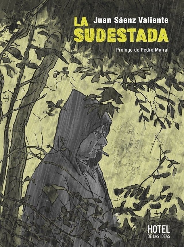 Webokv1's tweet image. Hilo de Historietas/ Novelas Graficas/ Comics leídos en 2024

La Sudestada - Juan Sáenz Valiente
Lo primero que leo de @juanzisv 10/10 de esas que vas pasando las hojas y no queres que termine