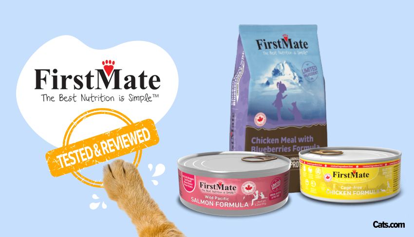 thepetshop707's tweet image. 35% Off First Mate Cat Food in January
thepetshopsonline.com
#firstmate #cat #cats #feline #kitten #food #thepetshop707