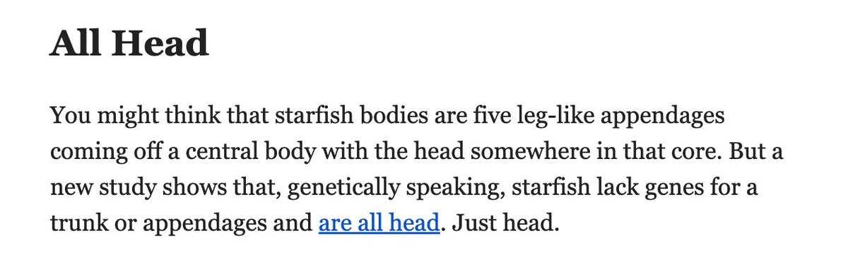 NEWS: <a href="/sciam/">Scientific American</a> daily newsletter subheads delightfully unhinged.
