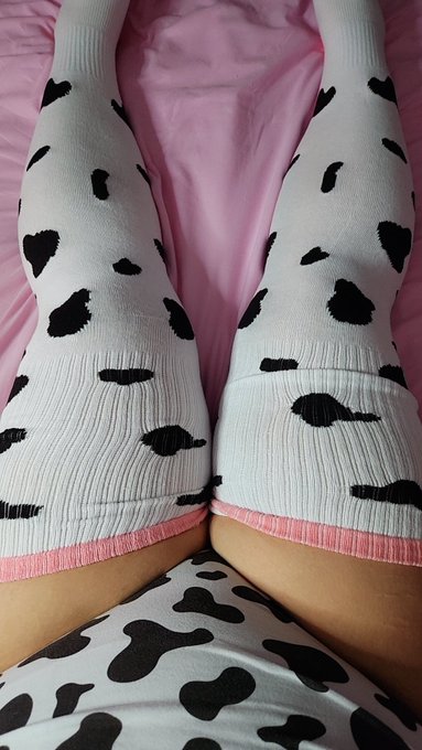 Like to squish the thighs, Retweet to pinch them? :o https://t.co/G4NWiOz2CJ<a href="/tag/dagreatbate"class="tags"><span>#dagreatbate</span></a>