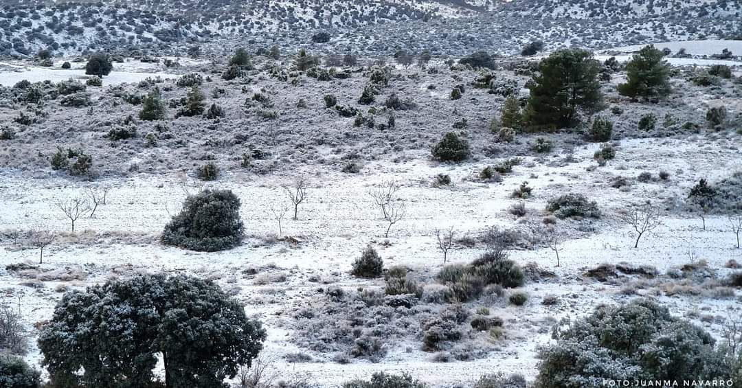MeteOrihuela's tweet photo. ¡Se ha hecho de rogar la primera nevada de la temporada en interior sureste #PenínsulaIbérica! Esta tarde (05/01/2024), entorno de #Inazares, pedanía #Moratalla (#Murcia). Altitud 1300 msnm, en piedemonte Cabezo de Revolcadores y Sierra de Villafuerte. Imágenes: @JuanmaMoralejo. https://t.co/78idXGcsKt