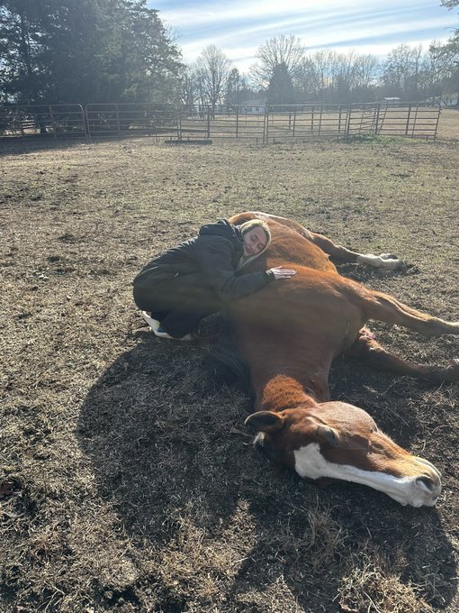 Never ever ever ever thought I&rsquo;d have to say goodbye to you today. I will miss you Chocolate. 🤍 https://t