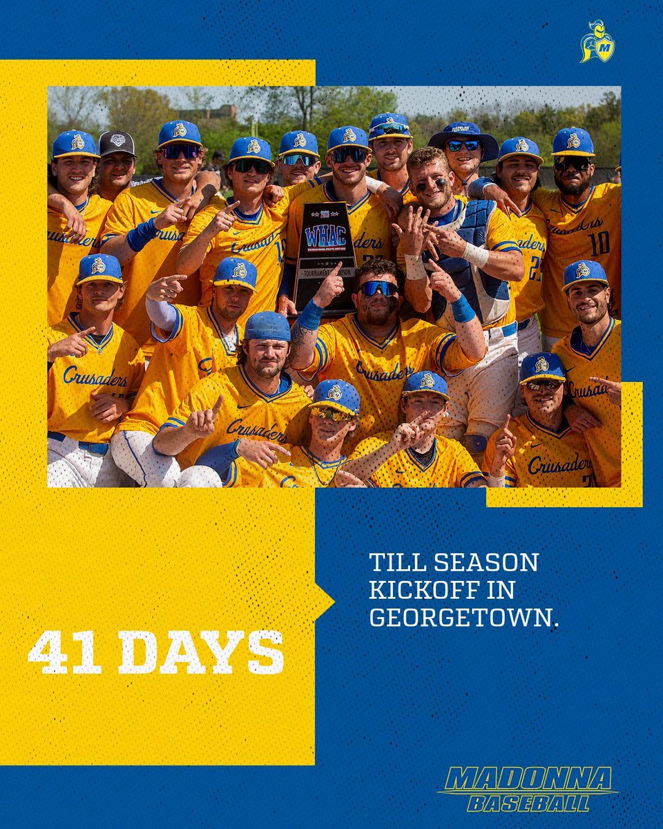 Madonna Baseball tweet media