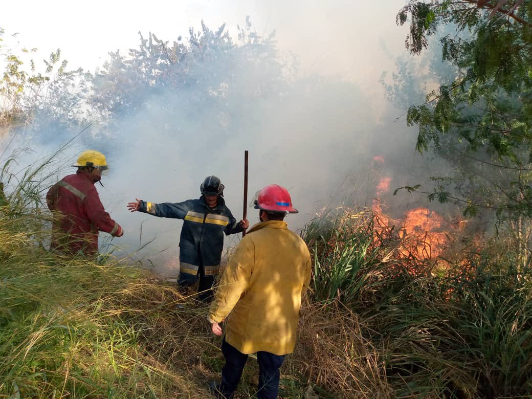 bomberosimonp's tweet photo. Se observa incendio de vegetación en la carretera Nacional los Llanos frente al puesto de la PNB vial en su fase de libre combustion se procede a las labores de extinción con herramientas manuales, al mando de la comisión S/2 Eduardo Mendoza.
 #PuebloLegisladorDePaz https://t.co/KBDEjTyXr3