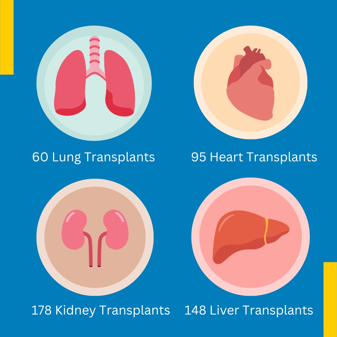 The #UCSDHealth Center for #Transplantation has had their biggest life-saving year thus far with a total of 481 life-saving organ transplants in 2023. Thank you to the #donors, medical teams and everyone who supports this life-saving mission. ❤️ health.ucsd.edu/care/transplan…