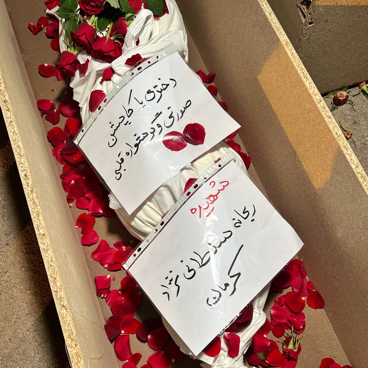 شما هر چی میخوای بگو
ولی با این عکس واقعا قلبم درد گرفت💔