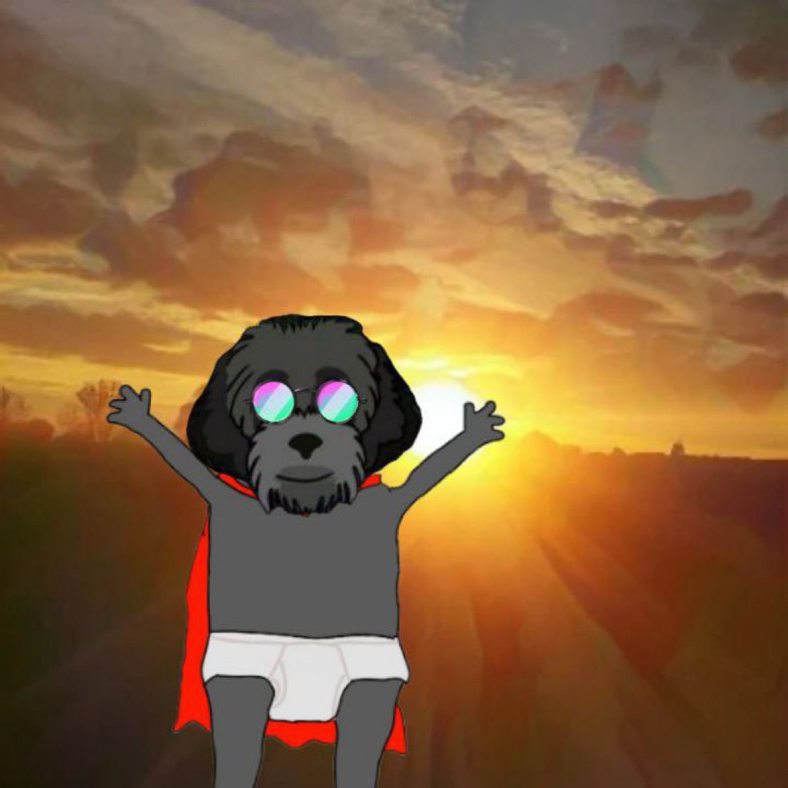 MyroSOL's tweet photo. @toly And Toly loves memes https://t.co/c0pha7mWni