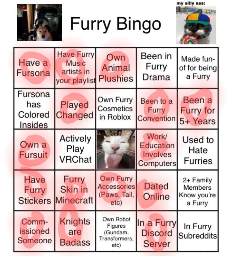 Skylar Darkfox tweet media