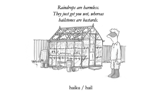 CaptQwerty's tweet photo. #strangeneighbours No. 263 #haiku #hail Raindrops are harmless. They just get you wet, whereas hailstones  are bastards. #storm #weather #rain #humour #greenhouse #gardening #glass #cartoon #illustration #poetry https://t.co/5HvABDZHzF