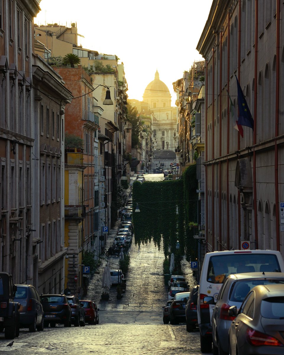 La luce di Roma

ph @alessiobruniroma

#stradediroma #streetsofrome #walkinginrome