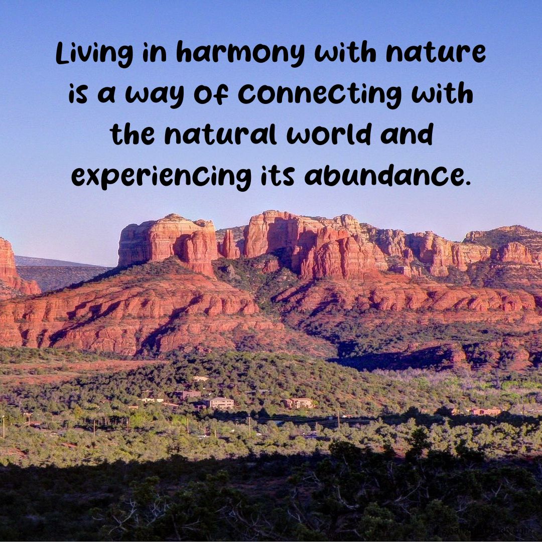 Connect to the wonders of nature through harmony! 🌿 Embark on a journey towards a healthier, more sustainable lifestyle and experience nature's abundance. #LivingInHarmony #EnvironmentalCare Make your first step today. shangrilaranch.com