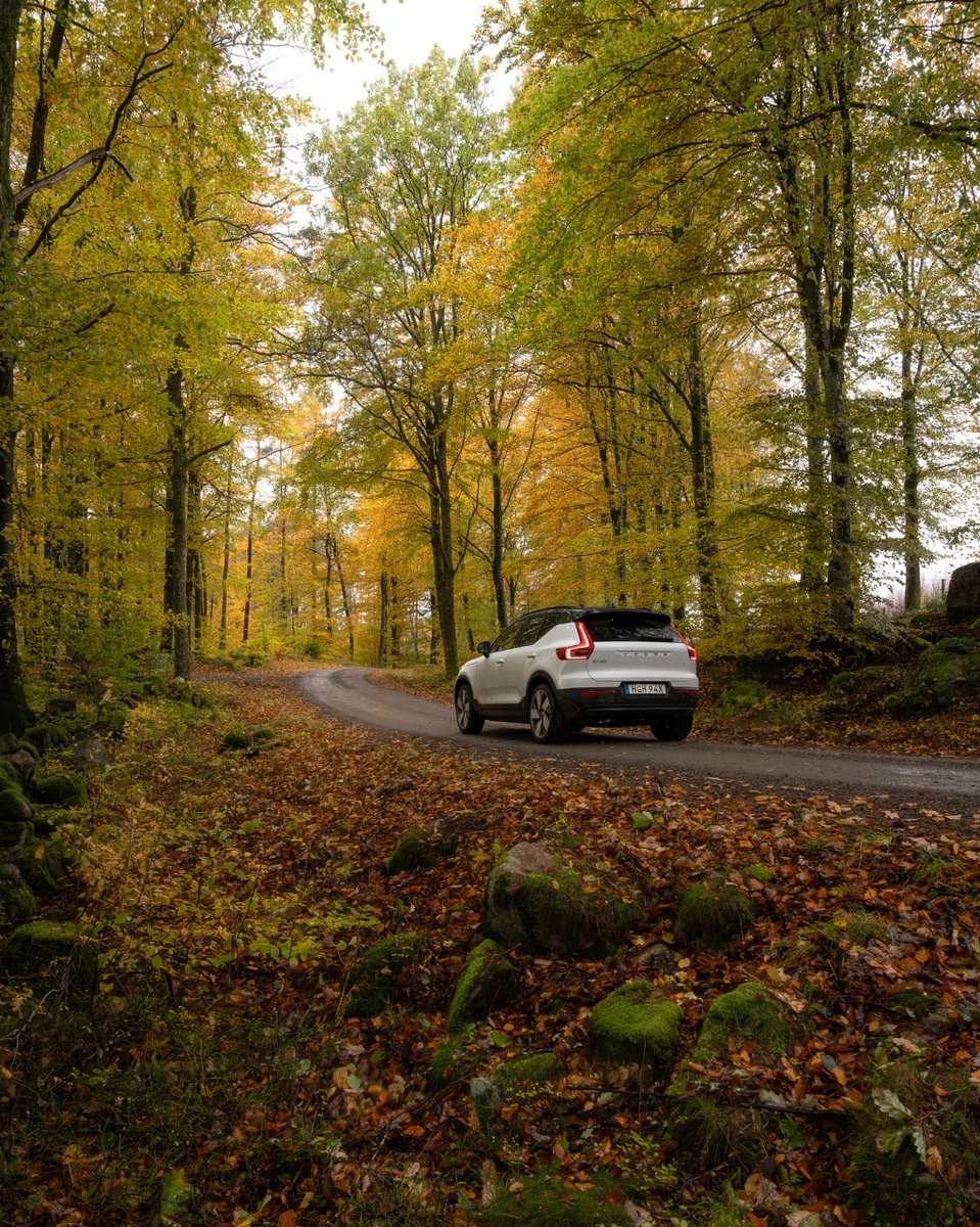 FRFVolvo's tweet photo. Crisp air, rustling leaves, golden foliage, and that crunching sound as we walk through this season of change. Hello autumn, we missed you. #XC40Recharge 🍂 https://t.co/ARMnlmmCMc
