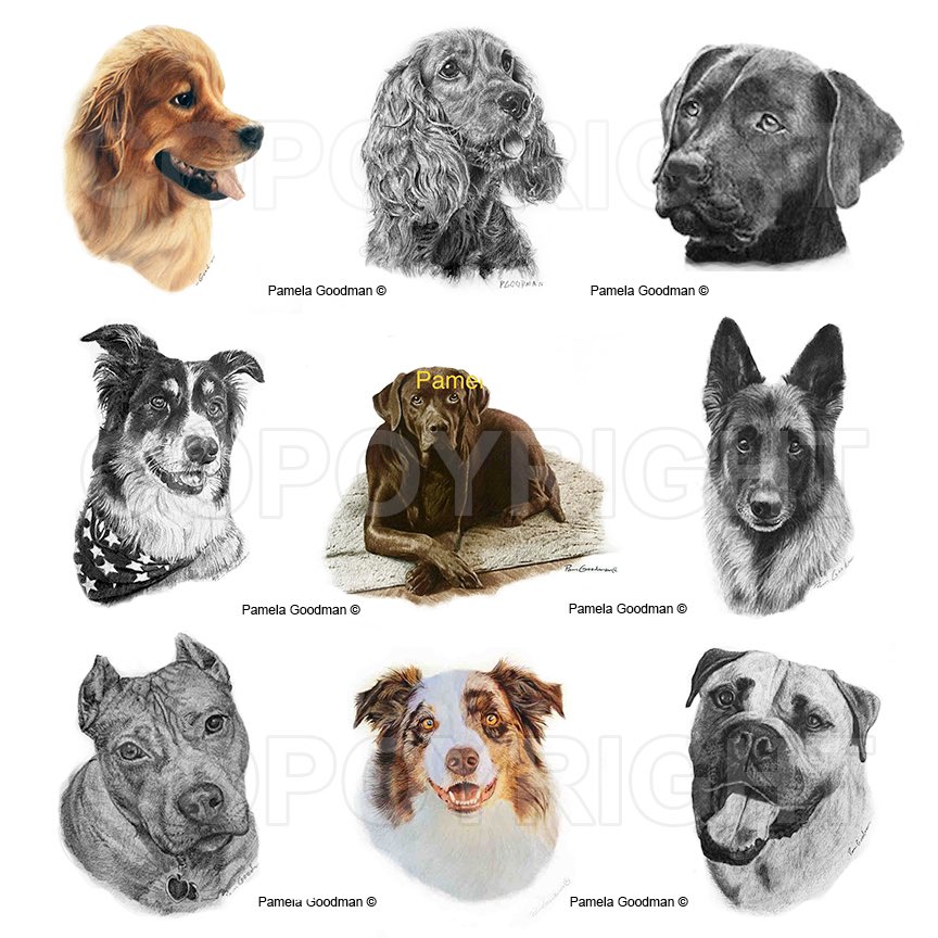 Memorialize your pet with a
portrait then look into his eyes and 
remember the special times.

ALL OCCASIONS
VALENTINES DAY is coming

MESSAGE ME OR EMAIL me @ madjonah@comcast.net  

#gifts #horses #dogs #memorials  #petloss #peturn #petportraits pamelagoodman.zenfolio.com