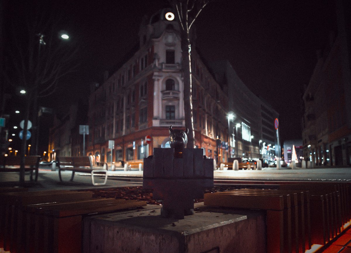 Grubiusz's tweet photo. Florka we #Katowice.
#Beboki
(fot. Michał Pietruszewski) https://t.co/Bjv69YKbrg