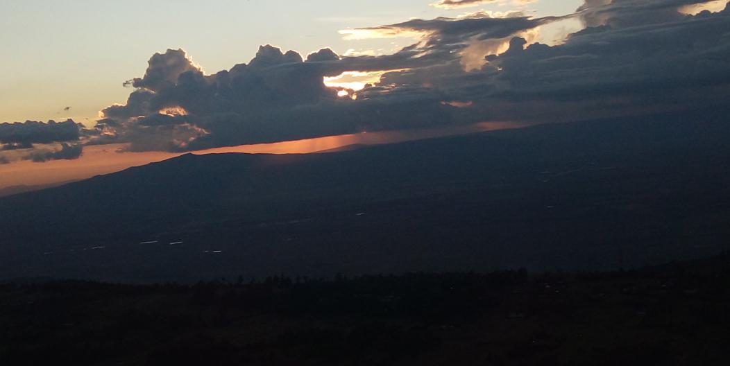 Wellbhad (@wellbhad) on Twitter photo 