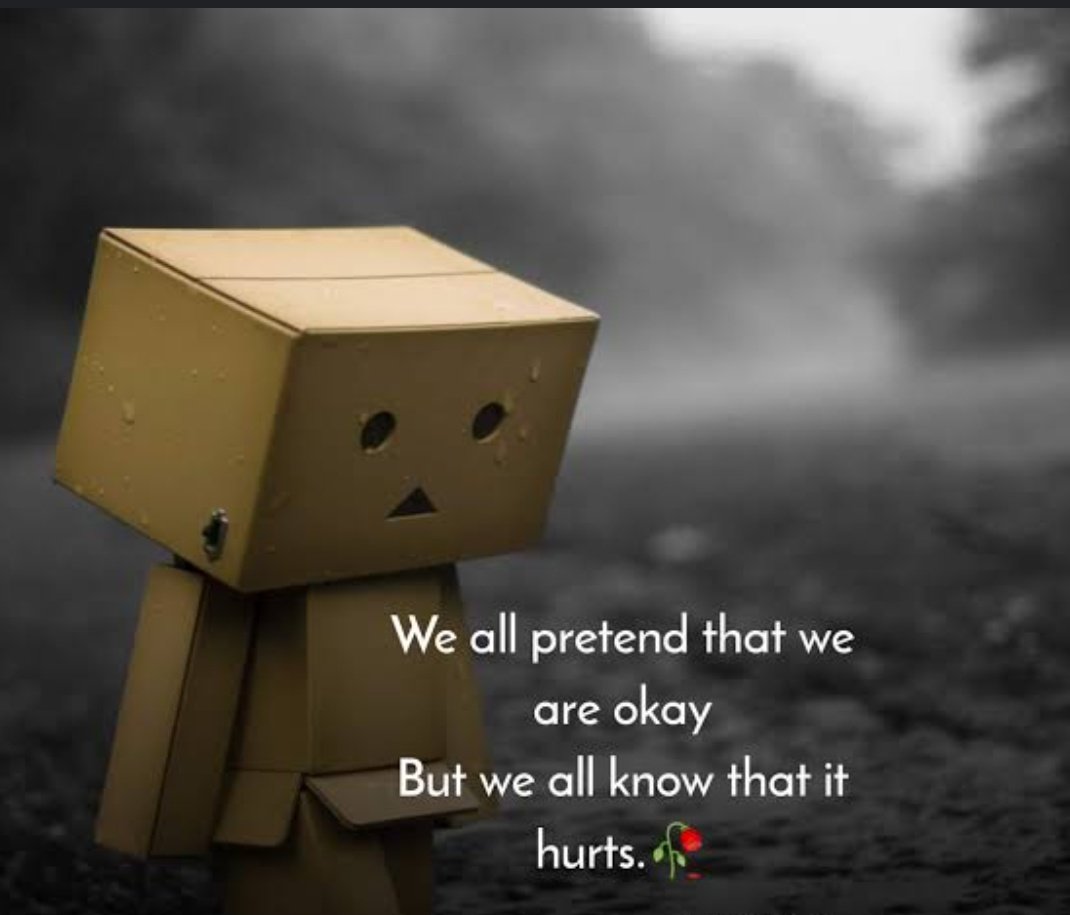 ‎ ً (@iluvcats2024) on Twitter photo 