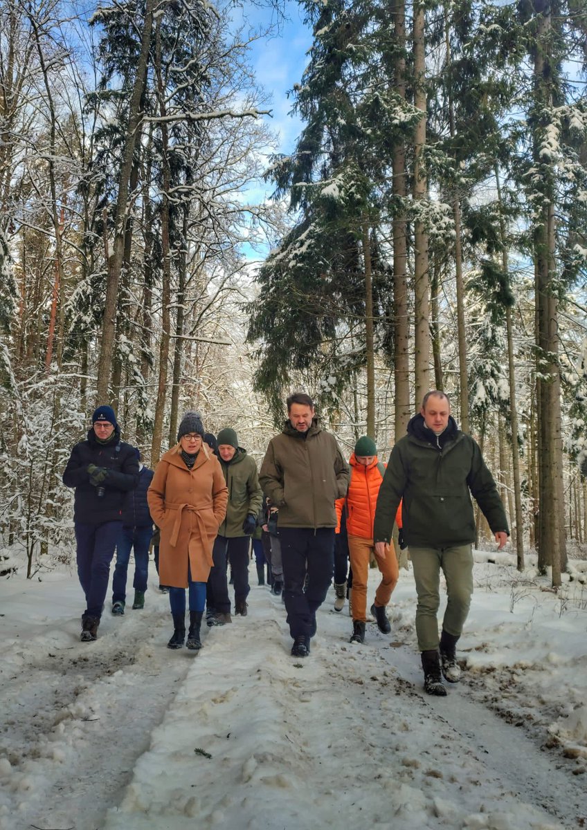 hennigkloska's tweet photo. Przygotujemy Konstytucję dla Puszczy Białowieskiej, by  strategicznie podejść do ochrony i promocji znanego na całym świecie symbolu polskiej przyrody. Do wspólnego stołu zasiądziemy z lokalną społecznością, naukowcami, leśnikami, #JST i #NGO. #KonstytucjaDlaPuszczy @MKiS_GOV_PL https://t.co/ShFvBcLELd