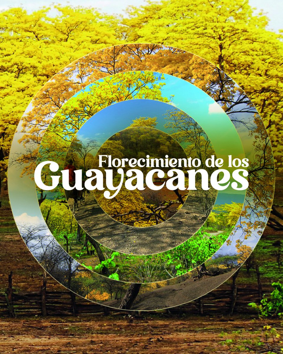 Viaja Ecuador tweet media