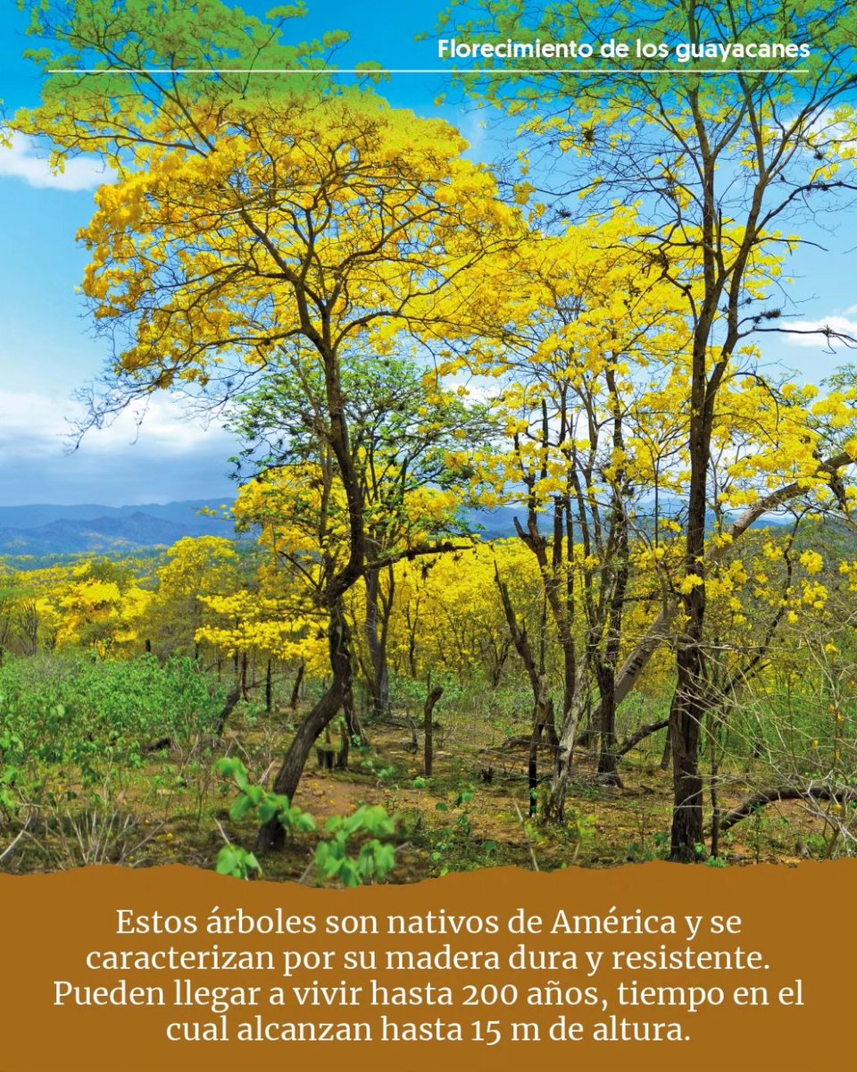 Viaja Ecuador tweet media