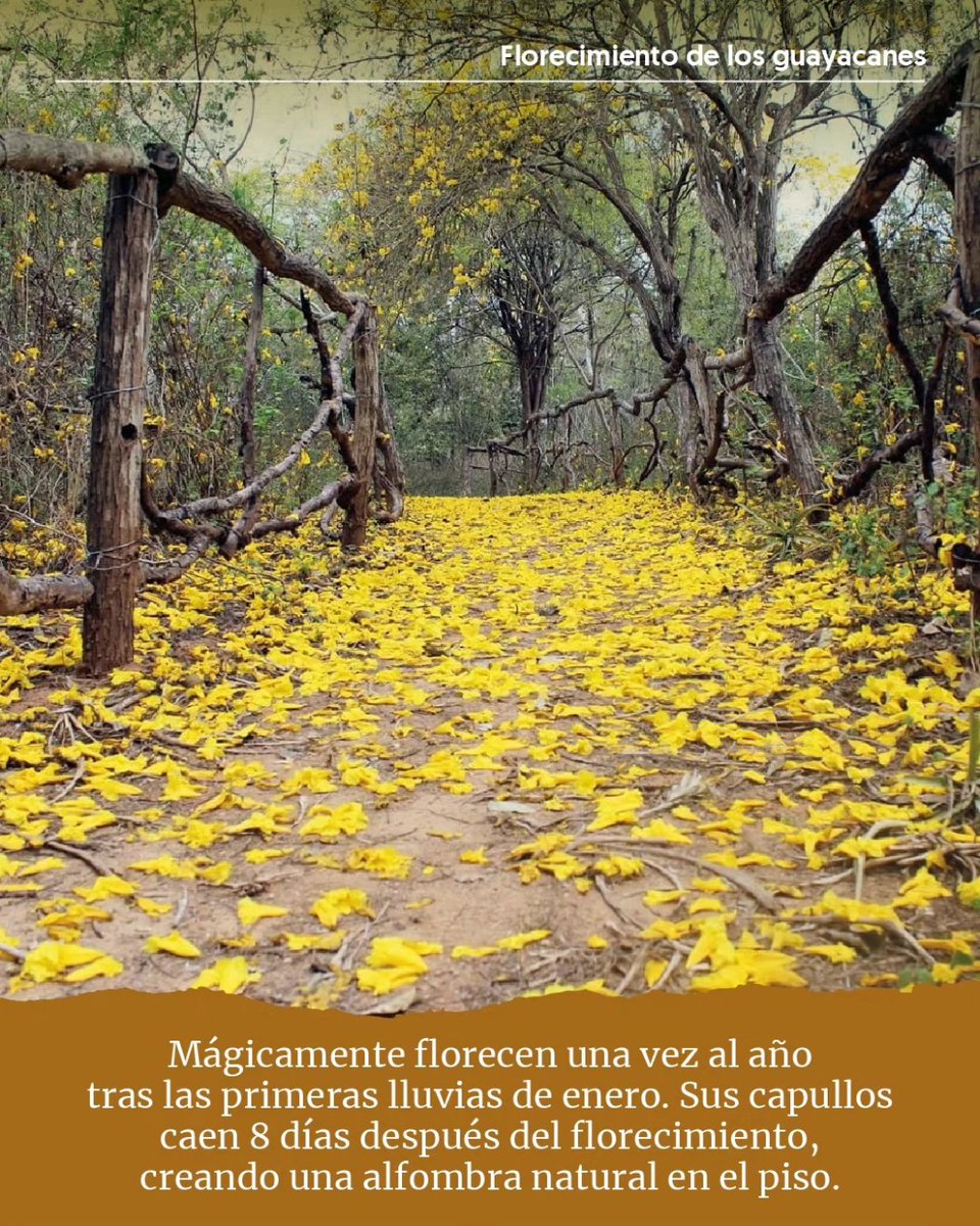 Viaja Ecuador tweet media