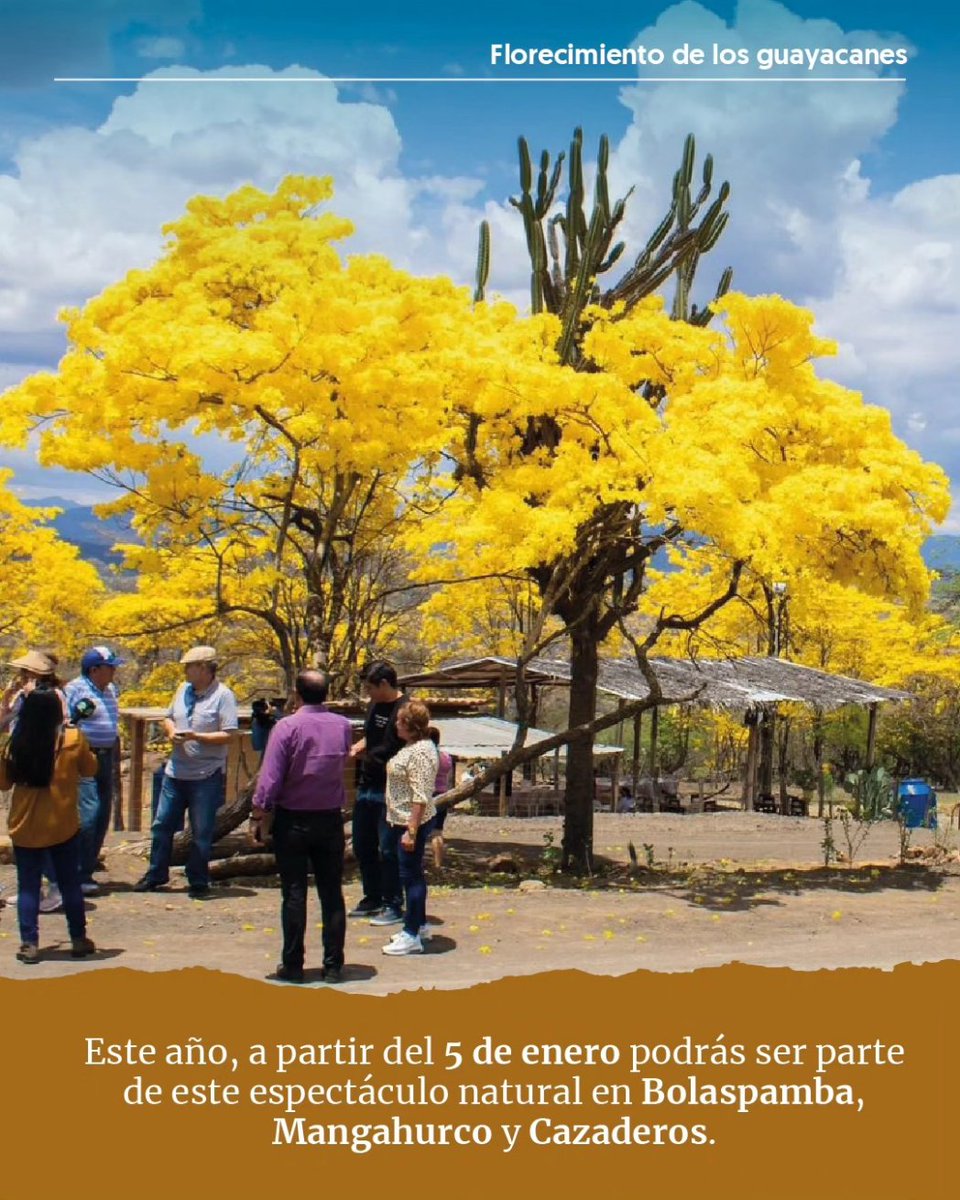 Viaja Ecuador tweet media