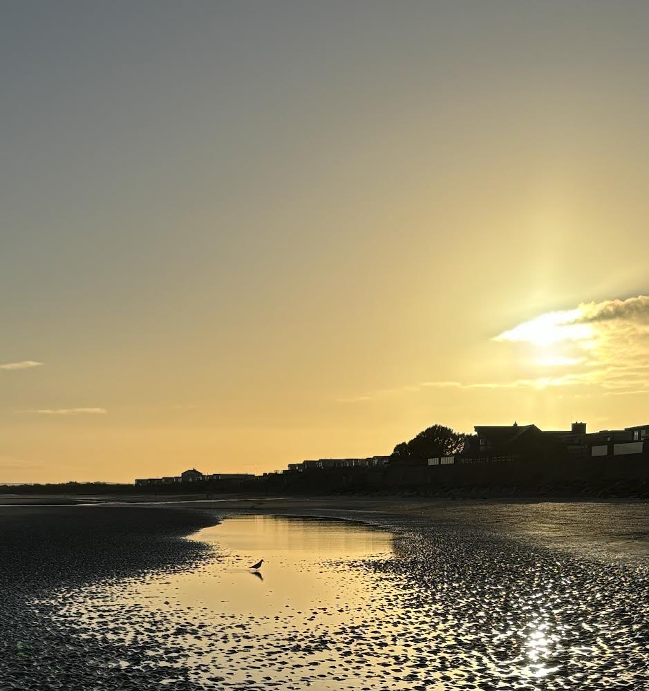 Brian MacCraith tweet media