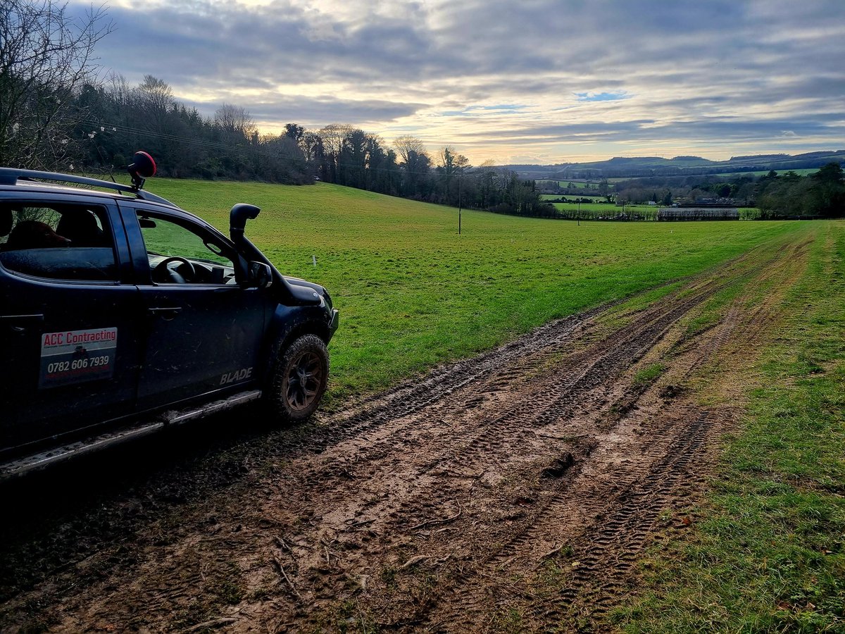 ACountryChap's tweet photo. Not a bad day picking up. 213 birds with only 6 dogs picking up was hard work but at least it wasn't raining!

#BigGingerDog did good. #LittleBrowmDog also did good pushing birds out of thick cover a few times.

#pickingup #pickersup #pickingupdogs #gameshootinguk #pheasants https://t.co/4AX01tltB5