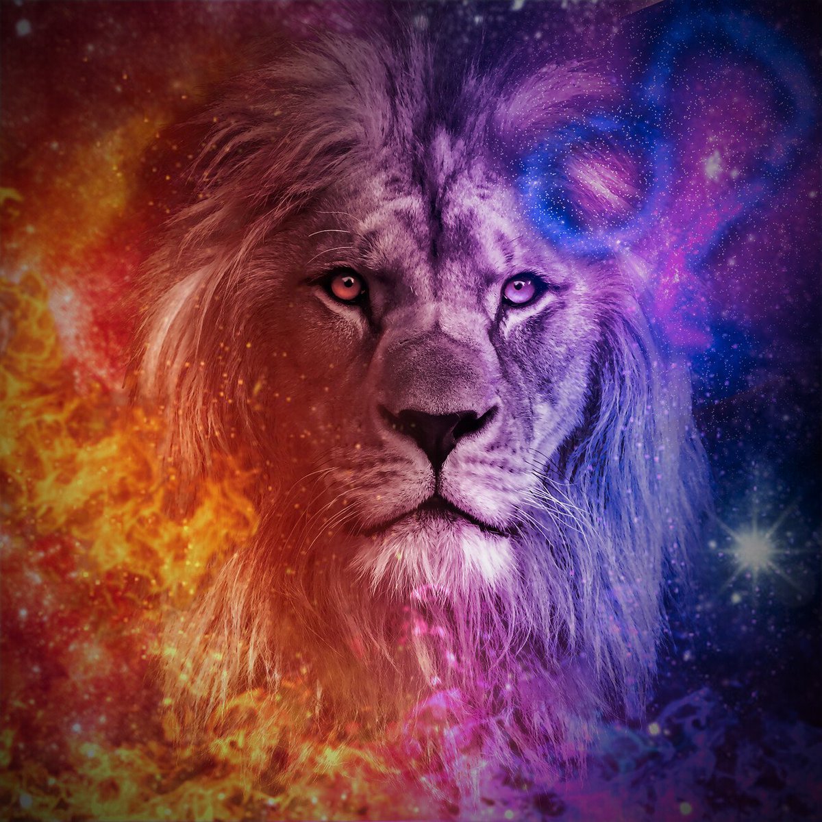 Ayim_7's tweet photo. #NewProfilePic https://t.co/krx2nl5knW