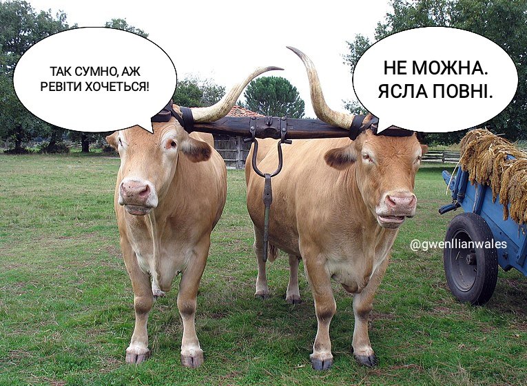 Зате волати можна