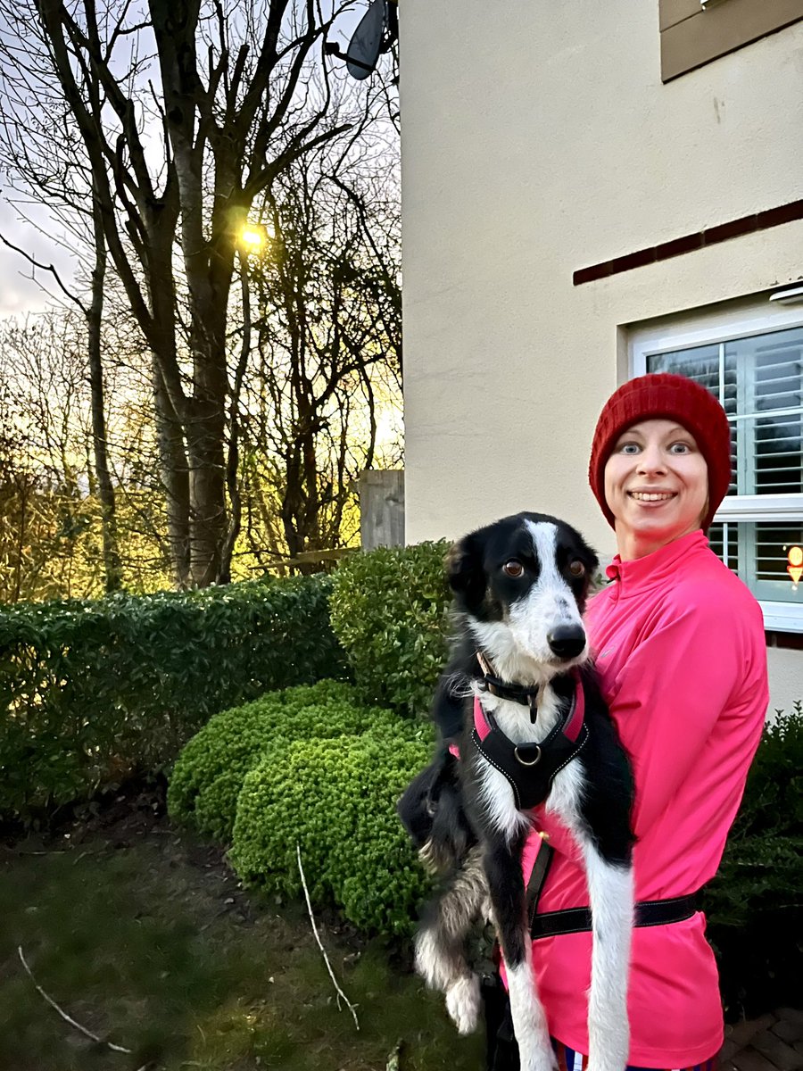 A proud day at Chargers HQ, as little Gwen completes her first ever run! Seems like this little Collie has plenty of potential and now she’s a whole year old, we can’t wait to see where she takes us! <a href="/littlepietweets/">Amy Hill</a>