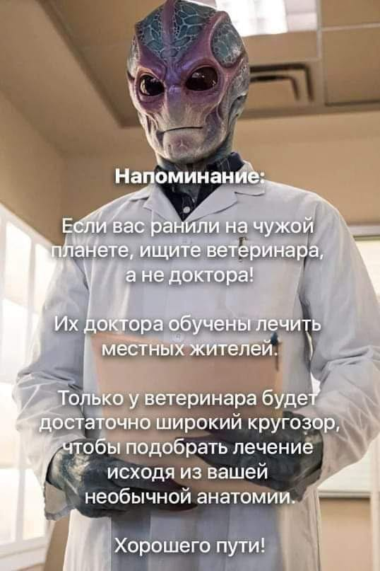 AlexRaccoonN1's tweet photo. https://t.co/8aig7CRlI0