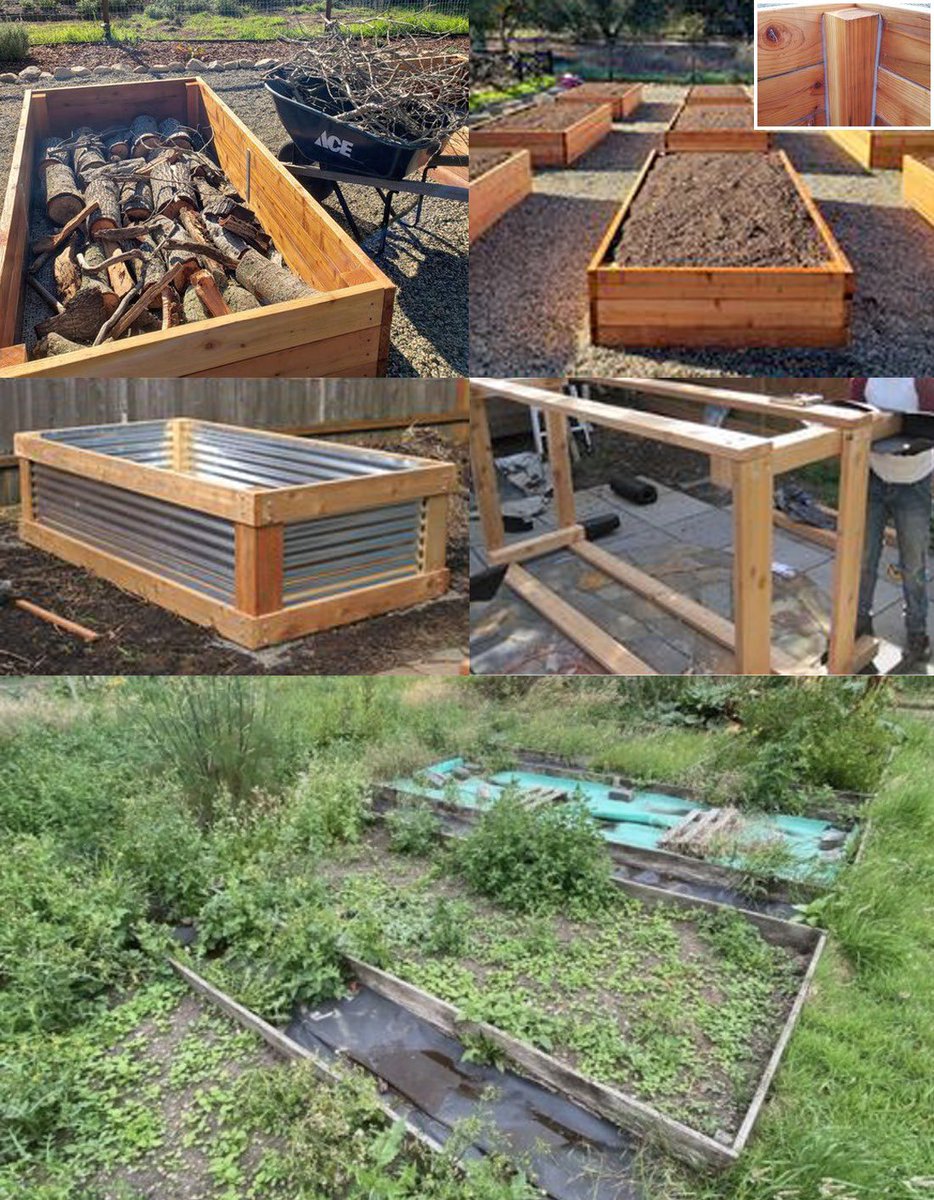 gardenandplants's tweet photo. Raised Bed Gardening Pitfalls: Avoid These 7 Common Mistakes ποΈπ± Check out our detailed guide in the first comment below to ensure a thriving garden! π¬π #RaisedBedMistakes #GardeningTips #AvoidingPitfalls #DIYGardenSuccess https://t.co/HdsUbURxTD