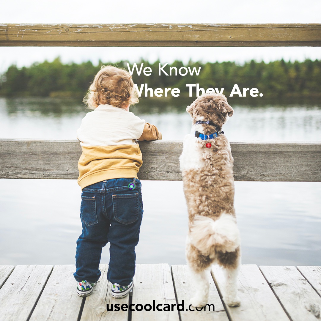 usecoolcard tweet media