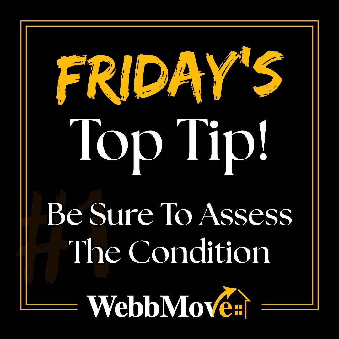 WebbMove tweet picture