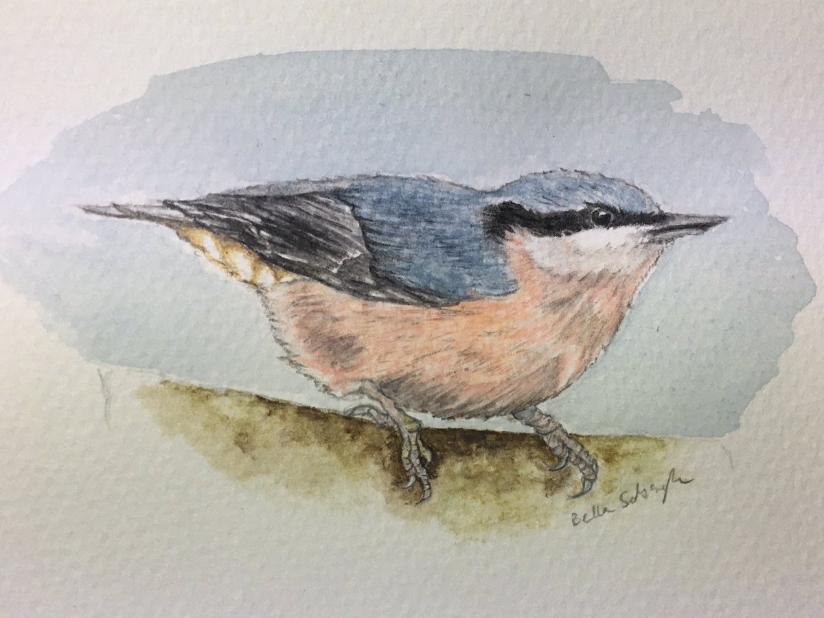 Bella Sabbagh 🇵🇸 tweet media