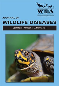 deemsharon's tweet image. Our paper on #ranavirus in the humble three-toed box #turtle in Missouri is in print.  Unfortunately, an emerging threat to turtles in our State. 
Kennedy made the cover! meridian.allenpress.com/jwd/article/60…