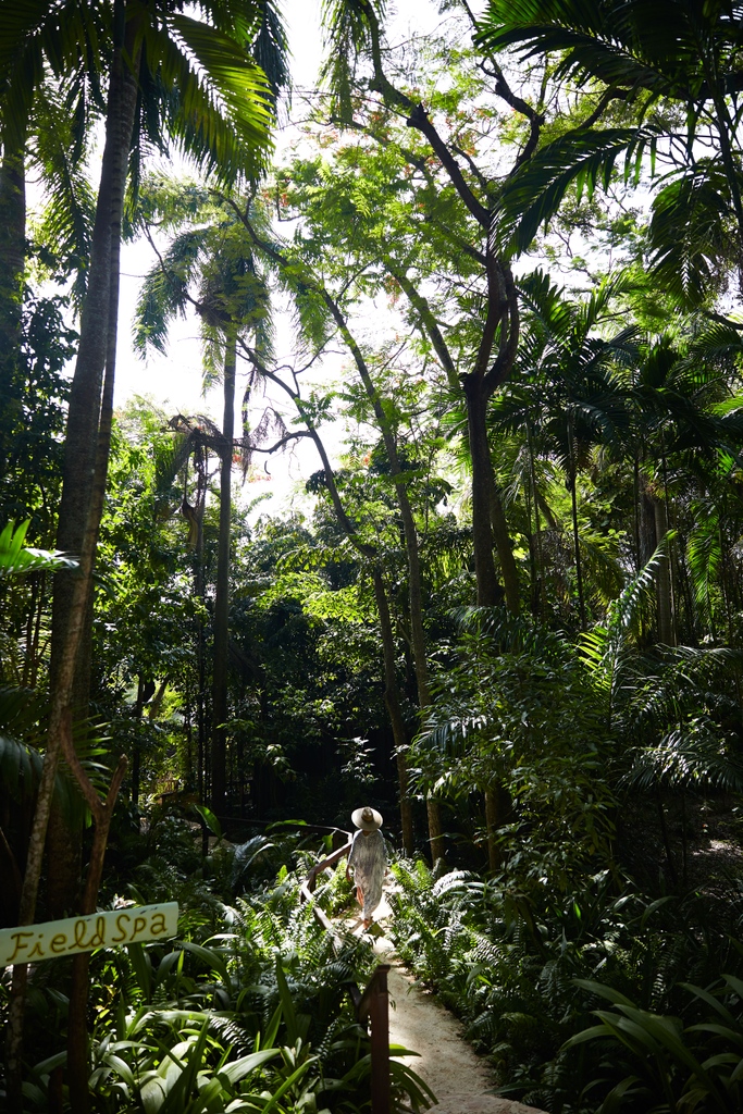GoldenEyeResort's tweet photo. Spa day 🌴
#FieldSpa #Unwind #GoldenEye #spa #chill #Vacation #2024 #Beautifuldestinations #Jamaica https://t.co/niJNWvLc0p
