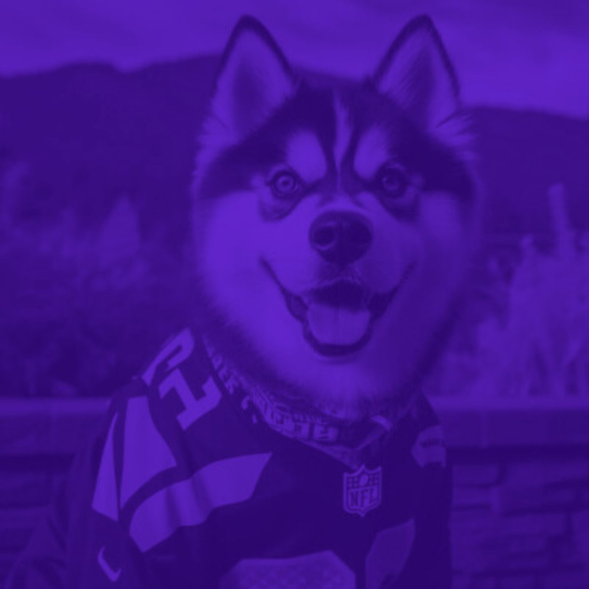 Puget Jack tweet media