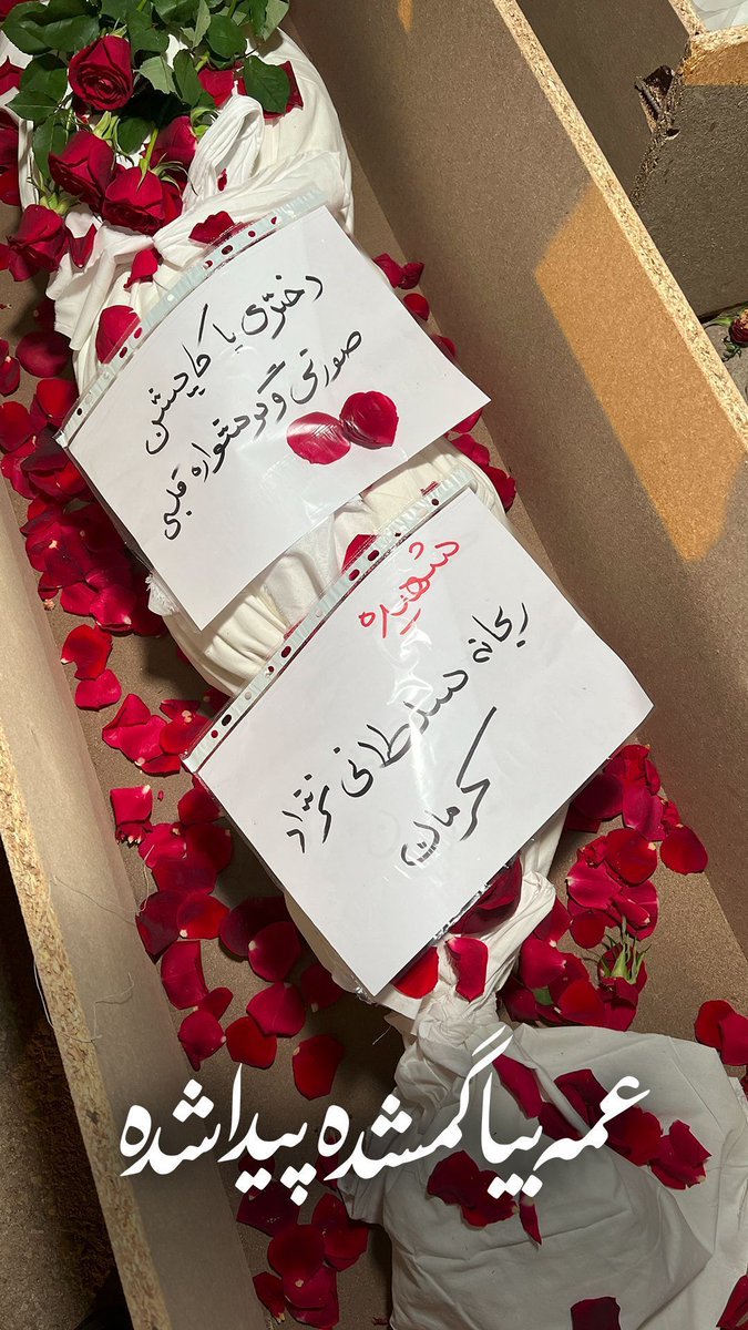 zahrrabanoo's tweet photo. عمه بیا گمشده پیدا شده... 💔
#ما_ملت_شهادتیم
#ایران_تسلیت https://t.co/1bQESP6Xwm