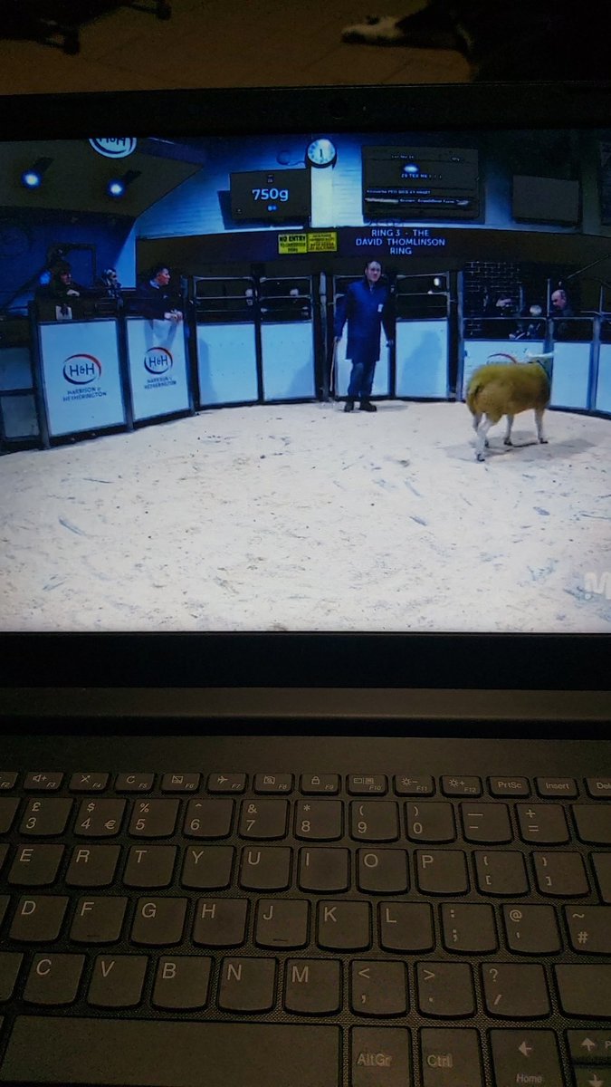 Online again this evening.