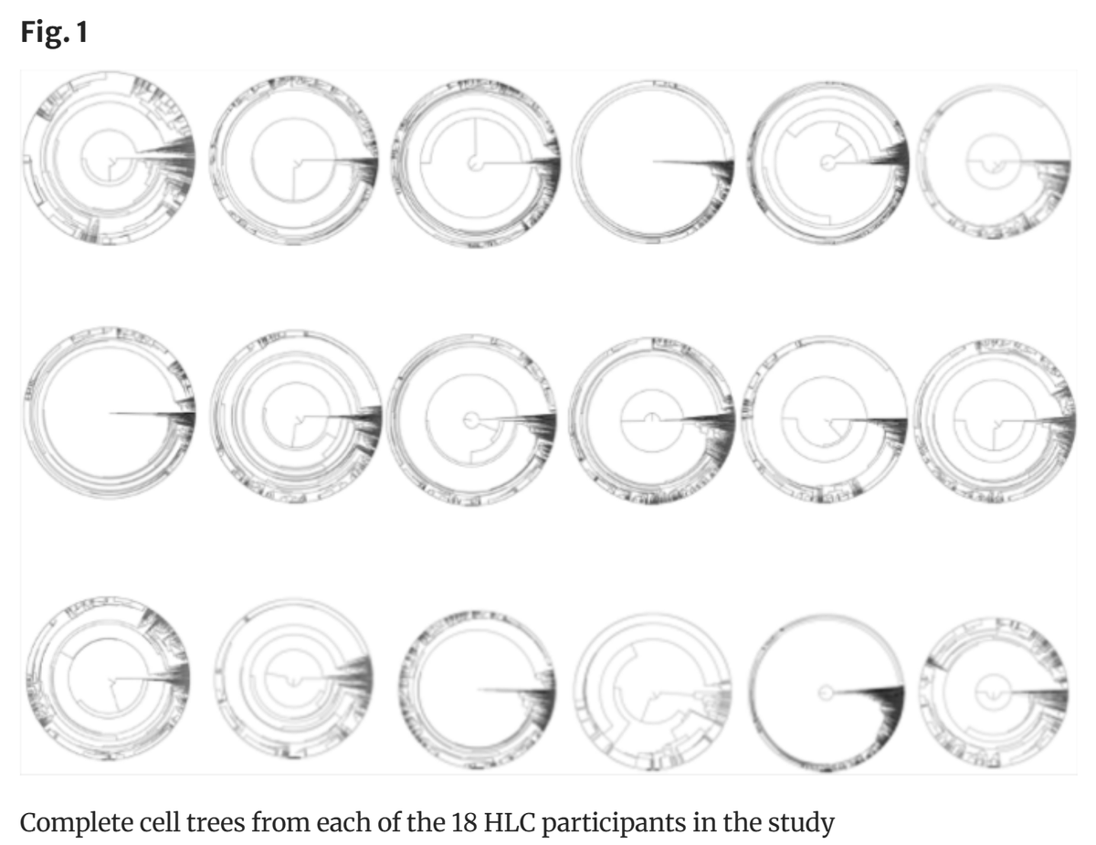 GeroScienceAGE's tweet photo. 📢New Open🔓Access Article
Cell Tree Rings: the structure of somatic evolution as a human aging timer by @attilacsordas et al.
https://t.co/MfTTcmUJLb
#celltreerings #somaticevolution #aging #Geroprotectivetrials #BiologicalAge https://t.co/RLtiX2jprK