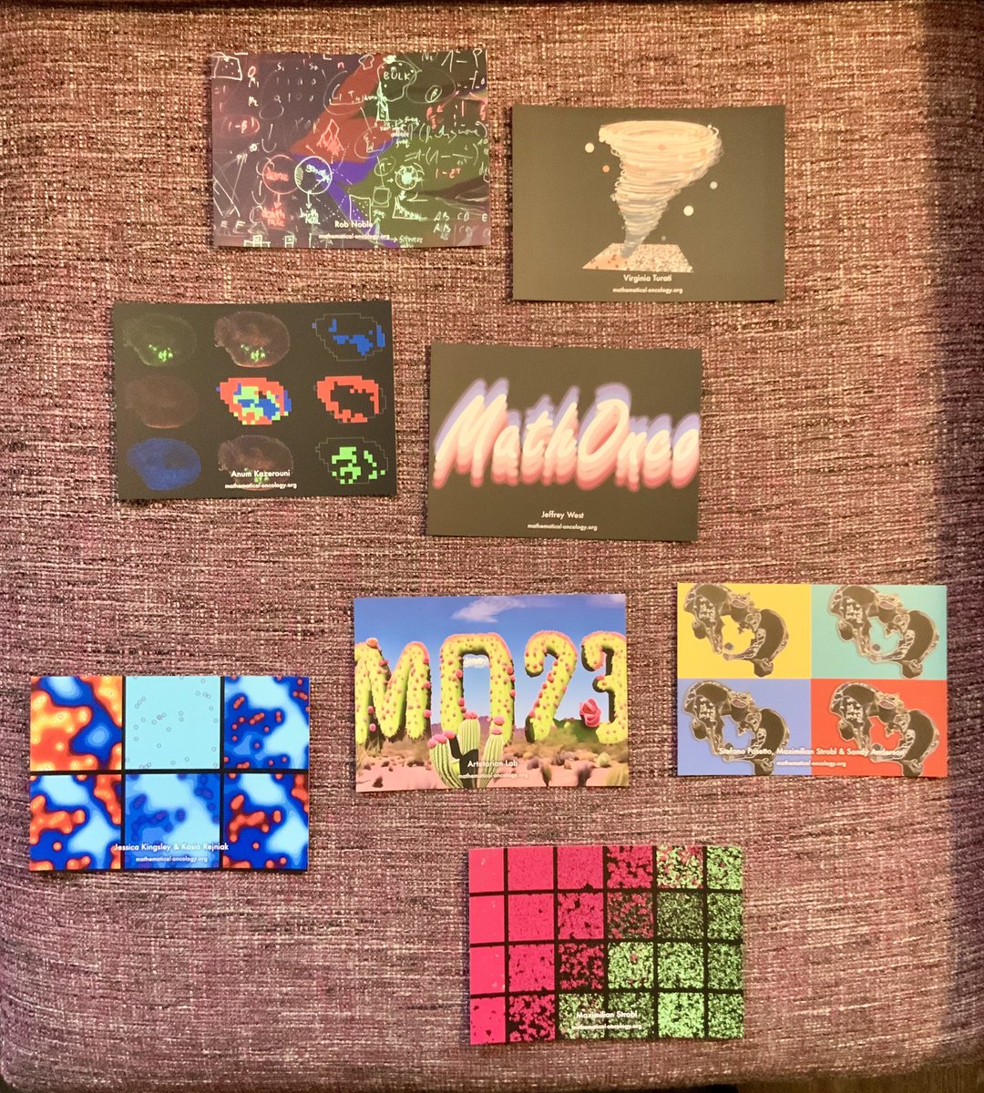 Ari Barnett tweet media